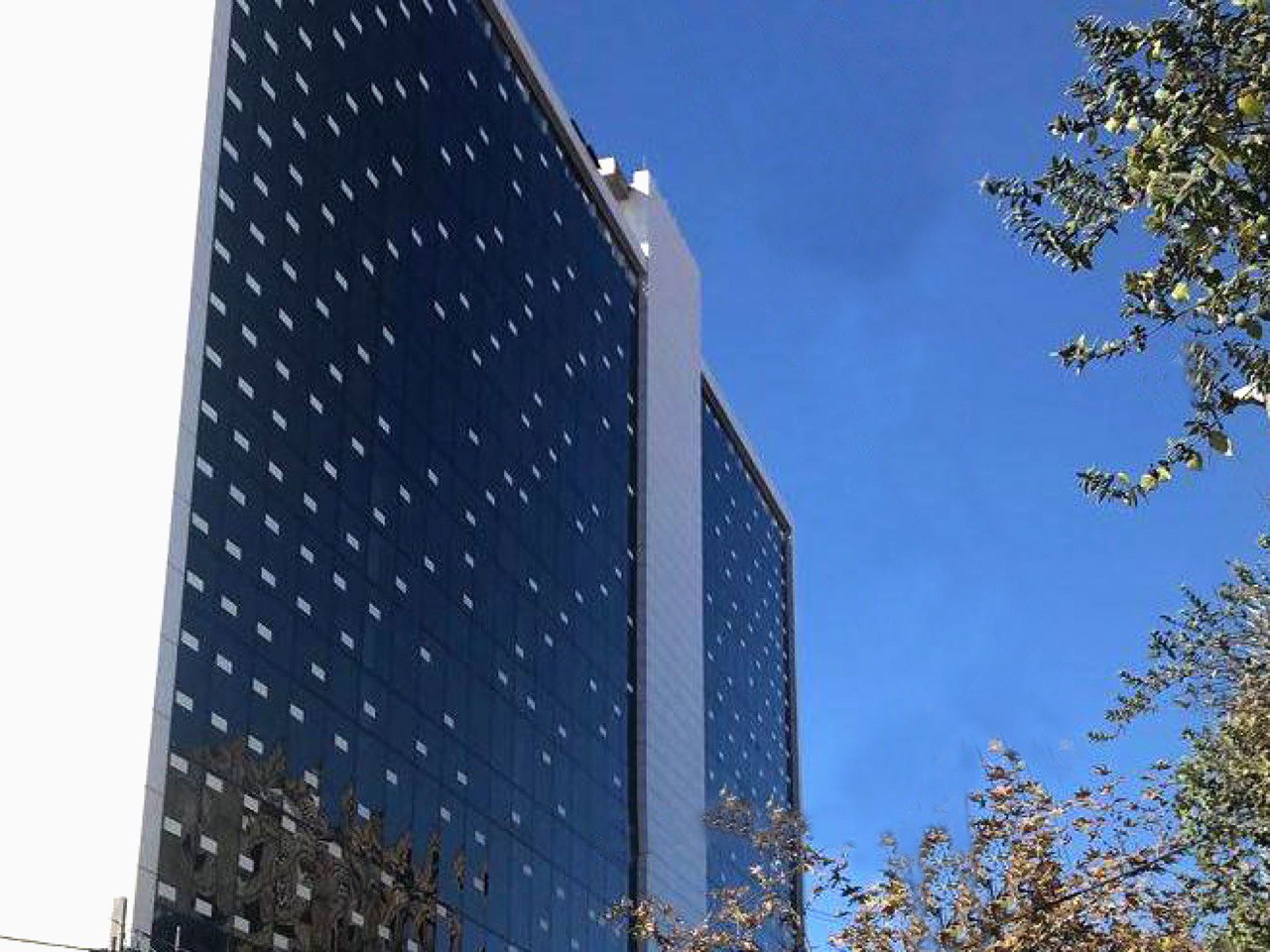 Architecture branding and customer experience – Absolute Creative